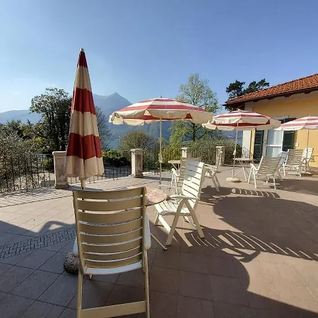 L'ulivo 4*