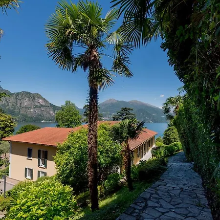 L'ulivo 4*
